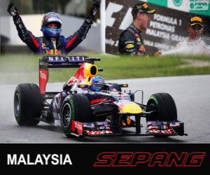 пазл Себастьян Феттель празднует свою победу в Гран Гран-при Малайзии 2013
